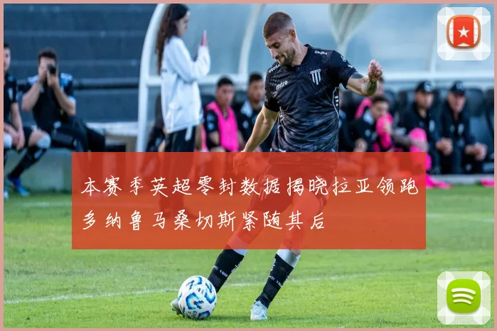 本赛季英超零封数据揭晓拉亚领跑多纳鲁马桑切斯紧随其后