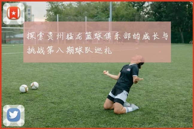 探索贵州猛龙篮球俱乐部的成长与挑战第八期球队巡礼