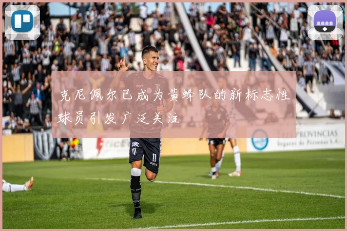 克尼佩尔已成为黄蜂队的新标志性球员引发广泛关注