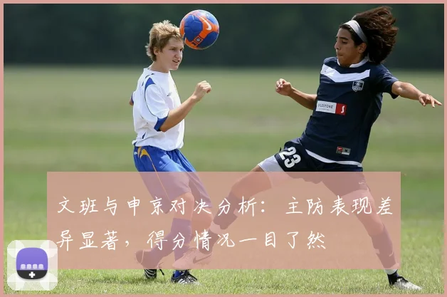 文班与申京对决分析：主防表现差异显著，得分情况一目了然