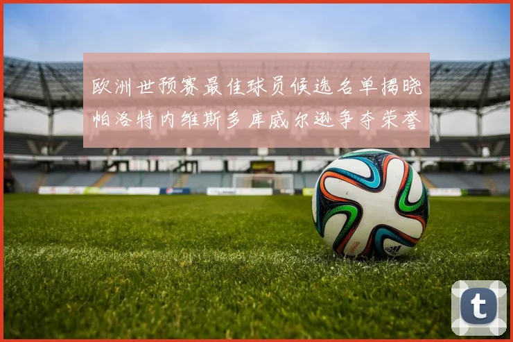 欧洲世预赛最佳球员候选名单揭晓帕洛特内维斯多库威尔逊争夺荣誉